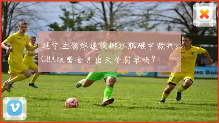 辽宁主场球迷投掷水瓶砸中裁判，CBA联盟会开出天价罚单吗？